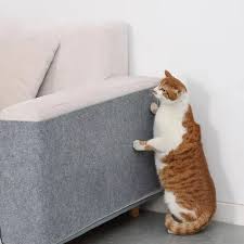 Rascador para gatos - Mundo Paraguayo